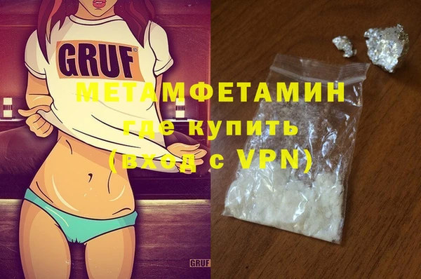 ПСИЛОЦИБИНОВЫЕ ГРИБЫ Дмитриев