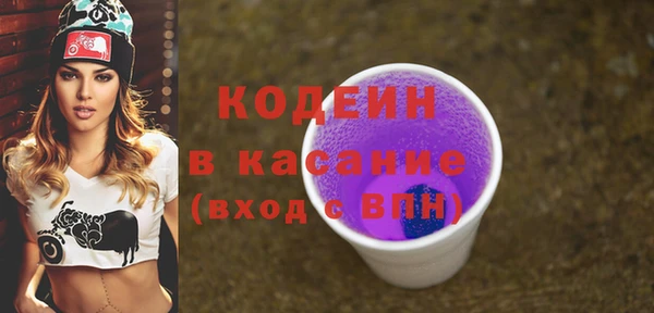ПСИЛОЦИБИНОВЫЕ ГРИБЫ Дмитриев