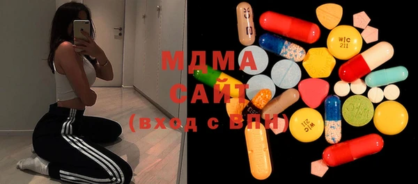 ПСИЛОЦИБИНОВЫЕ ГРИБЫ Дмитриев