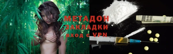 ПСИЛОЦИБИНОВЫЕ ГРИБЫ Дмитриев