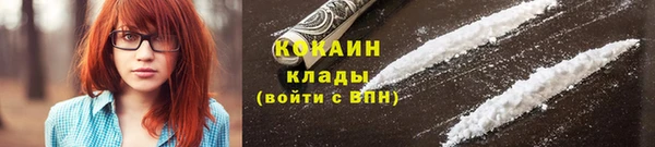 ПСИЛОЦИБИНОВЫЕ ГРИБЫ Дмитровск