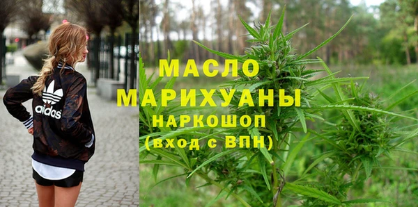 ПСИЛОЦИБИНОВЫЕ ГРИБЫ Дмитриев