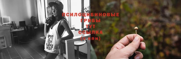 ПСИЛОЦИБИНОВЫЕ ГРИБЫ Дмитриев