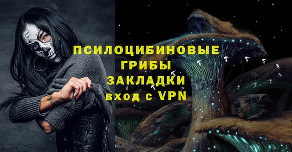 крисы Дмитров