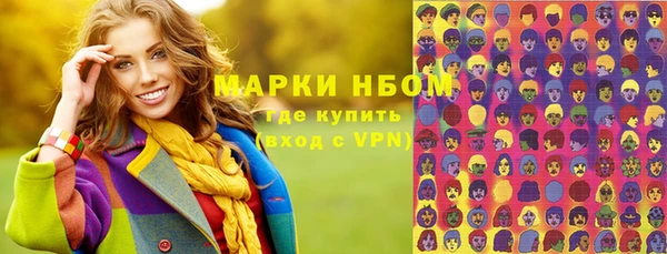 ПСИЛОЦИБИНОВЫЕ ГРИБЫ Дмитриев
