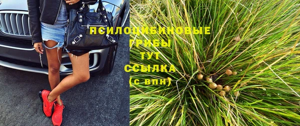ПСИЛОЦИБИНОВЫЕ ГРИБЫ Дмитровск