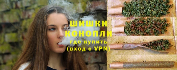 крисы Дмитров