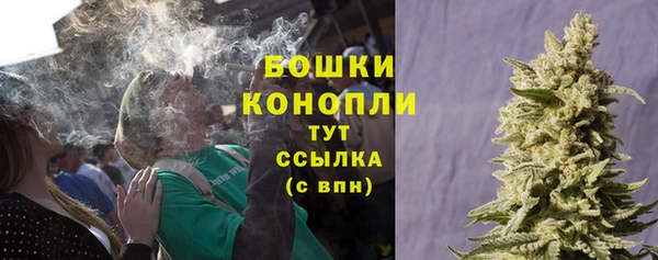 ПСИЛОЦИБИНОВЫЕ ГРИБЫ Дмитровск