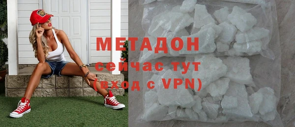 ПСИЛОЦИБИНОВЫЕ ГРИБЫ Дмитриев