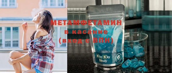 ПСИЛОЦИБИНОВЫЕ ГРИБЫ Дмитриев
