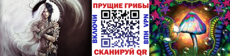 Псилоцибиновые грибы Magic Shrooms  магазин  наркотиков  Плавск 